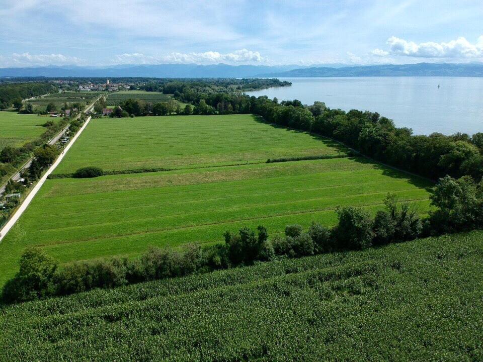 Ferien-Apartment Seewiesen Mit Privatstrand Friedrichshafen Dış mekan fotoğraf