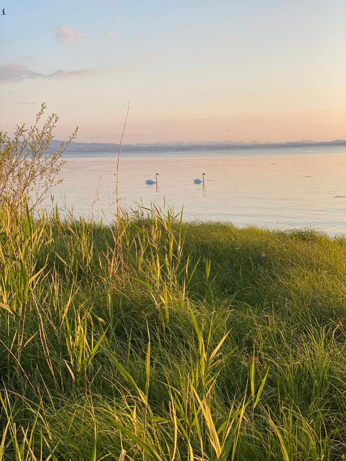 Ferien-Apartment Seewiesen Mit Privatstrand Friedrichshafen Dış mekan fotoğraf