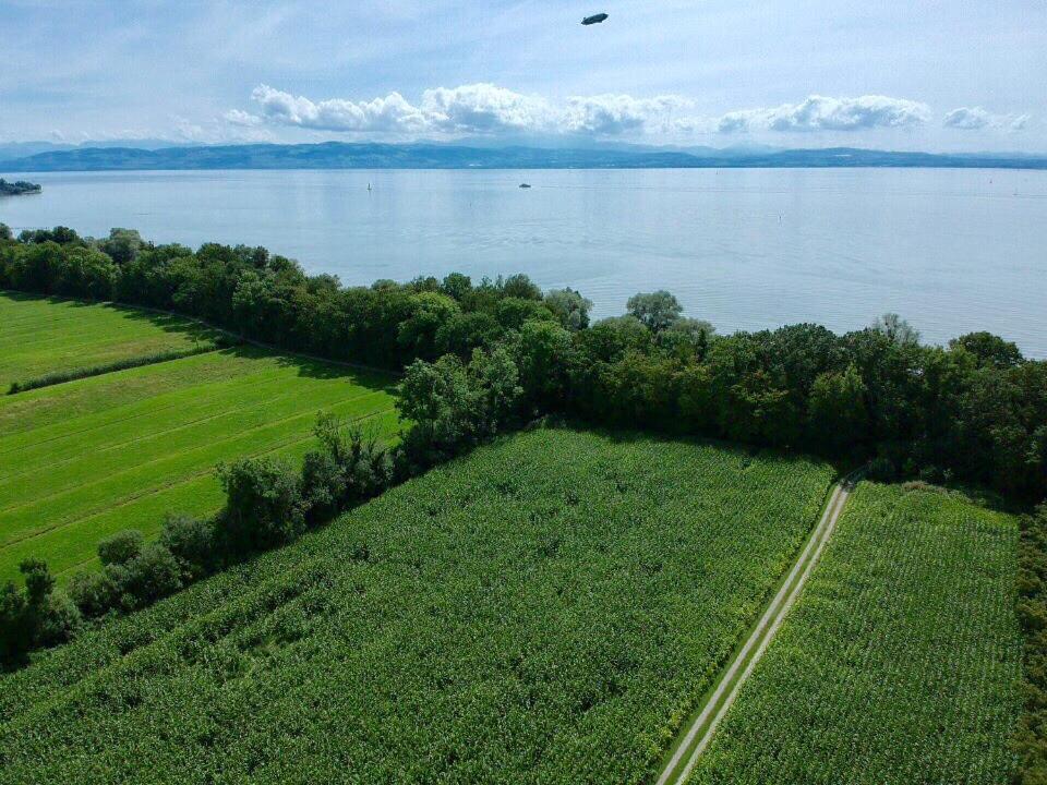 Ferien-Apartment Seewiesen Mit Privatstrand Friedrichshafen Dış mekan fotoğraf